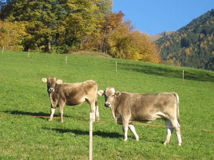 Mantingerhof Apartments Funes  Luaran gambar